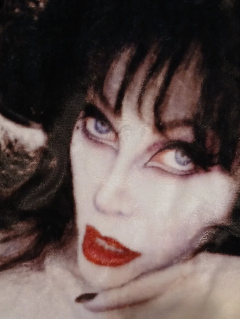 Elvira mistress of the dark elvira mistress